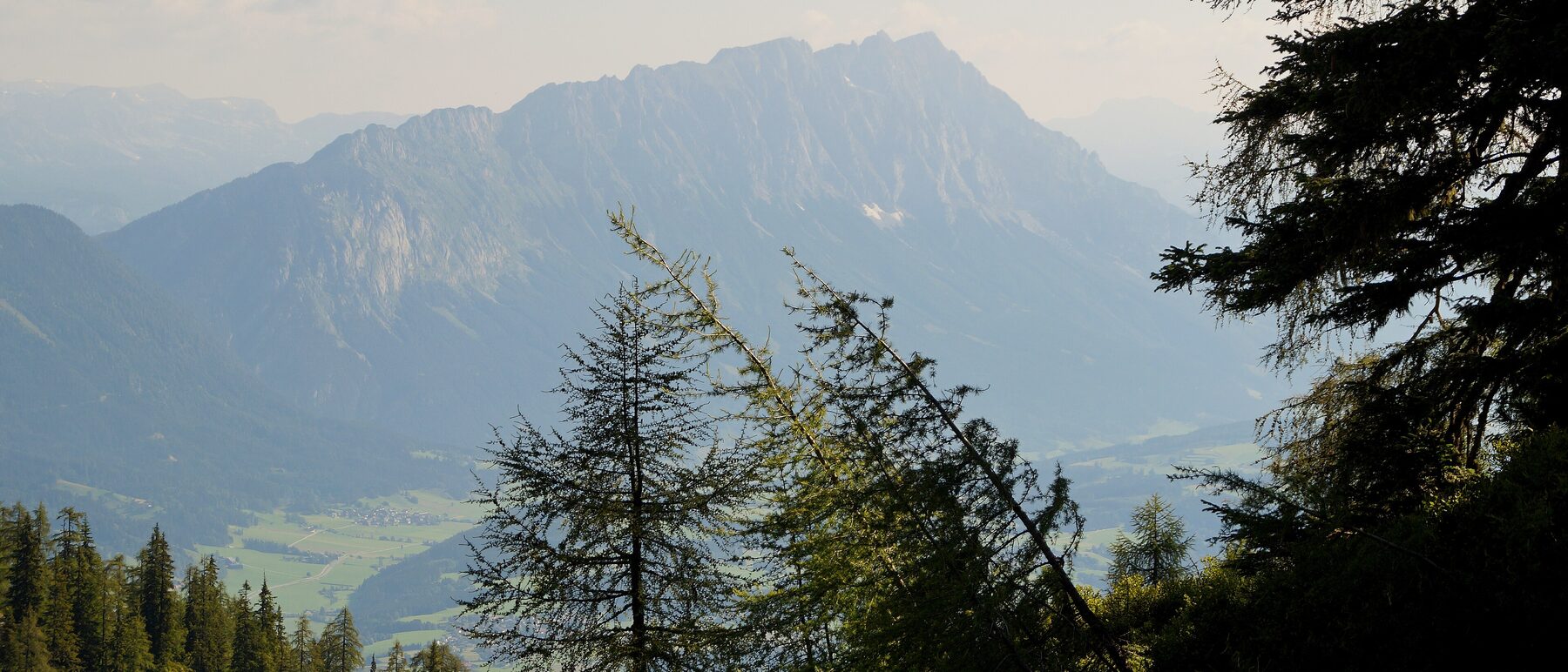 Galsterbergalm in Michaelerberg-Pruggern, Blick zum Grimming